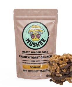 Magic Mushroom French Toast Crunch Cereal Bar- 3000MG – Mushee