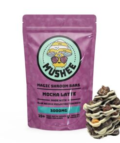 Magic Mushroom Mocha Latte Cereal Bar- 3000MG – Mushee