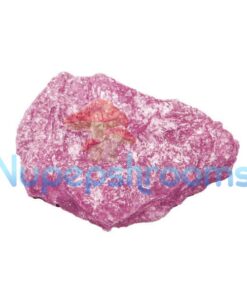 Pure Pink Molly