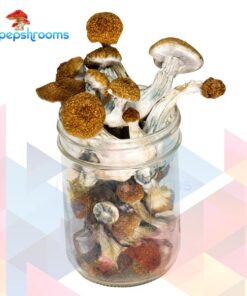 Texas Penis Envy Magic Mushrooms
