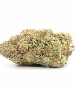 Pineapple Sativa