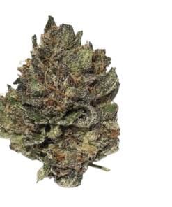 Tigers Blood Indica