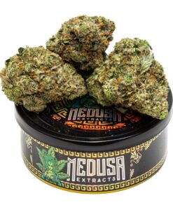 Tom Ford Tuna Can | Medusa Extracts