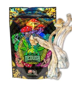 Tri-Colour Ecuadorian Magic Mushrooms | Medusa Extracts