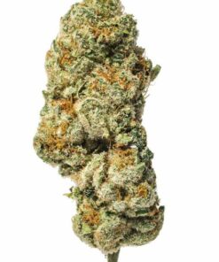 Triangle Kush Indica (AAA)