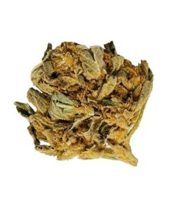 BLOW OUT SALE Warehouse Weed 28G $59